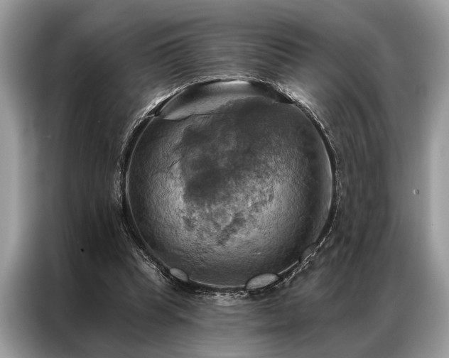 X0000087350345200704271423