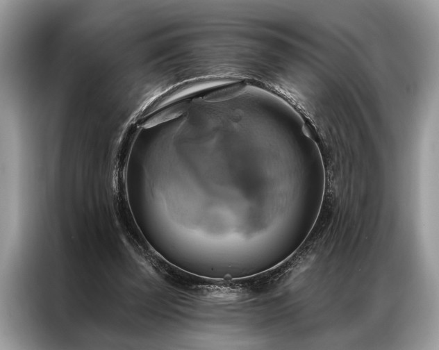 X0000087350347200704271423