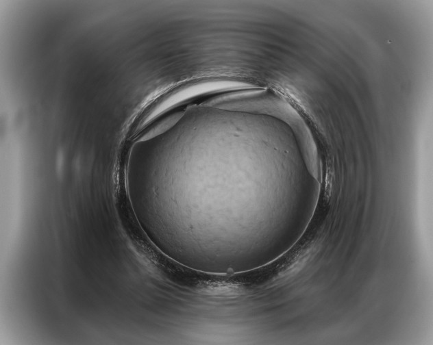 X0000087350348200704271423