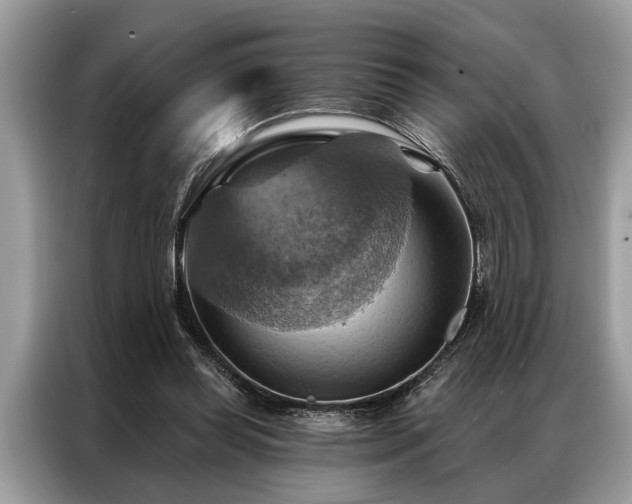 X0000087350349200704271423