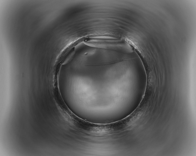 X0000087350351200704271423
