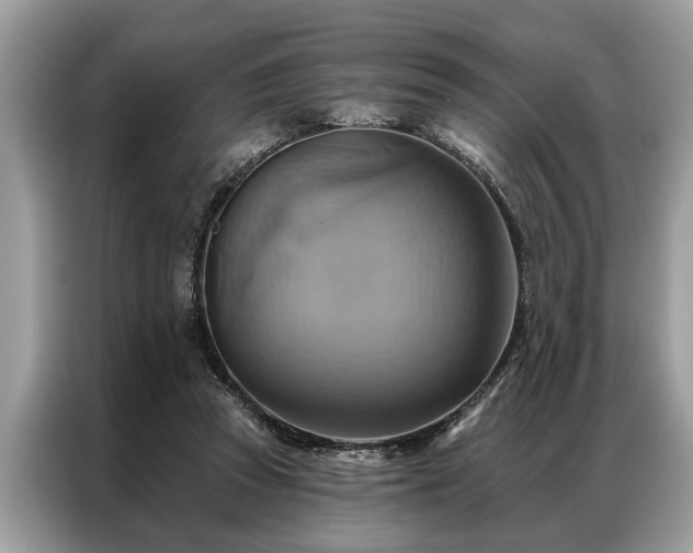 X0000087350353200704271423