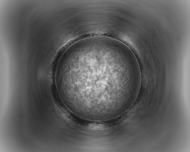 X0000087350354200704271423