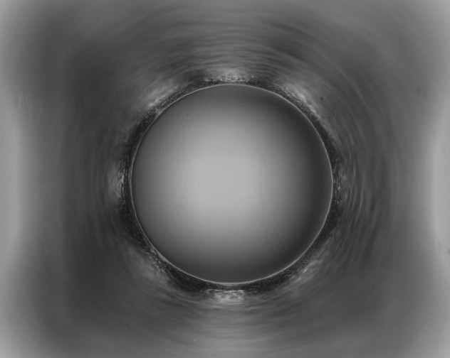 X0000087350355200704271423