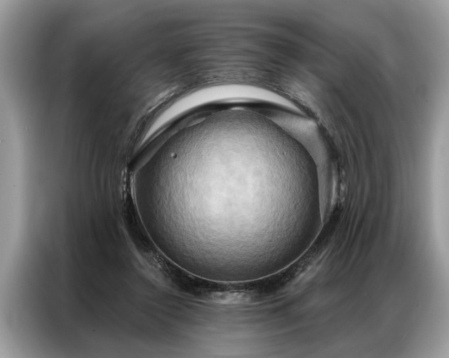 X0000087350356200704271423