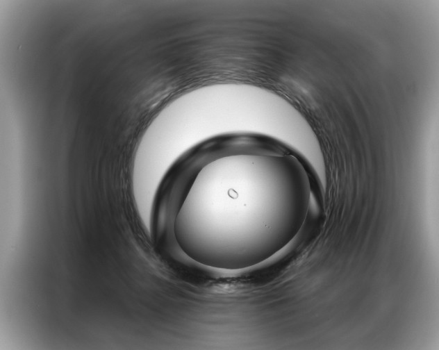 X0000087350364200704271423