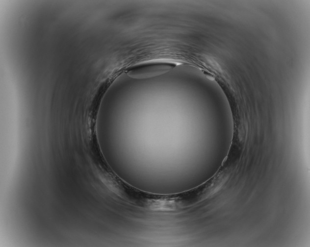 X0000087350366200704271423