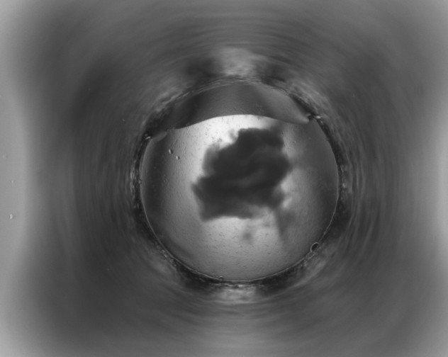 X0000087350369200704271423