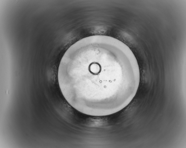 X0000087350370200704271423