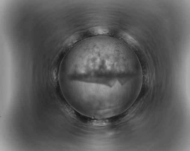 X0000087350373200704271423