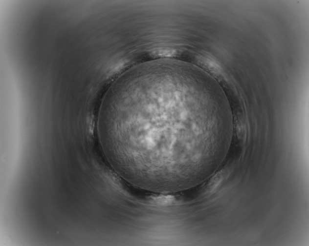 X0000087350374200704271423
