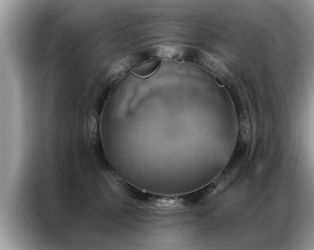 X0000087350375200704271423