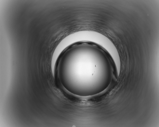 X0000087350376200704271424