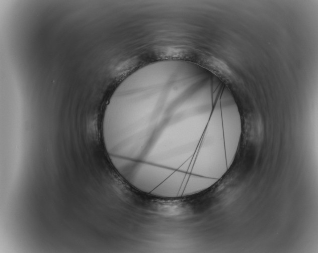 X0000087350377200704271424