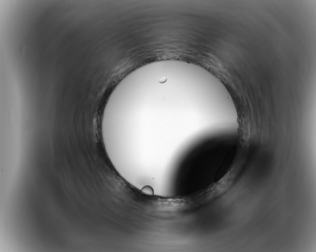 X0000087350378200704271424