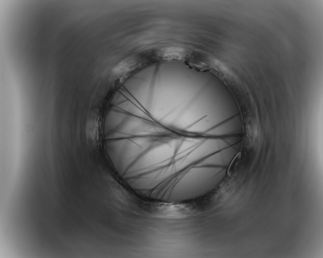 X0000087350379200704271424