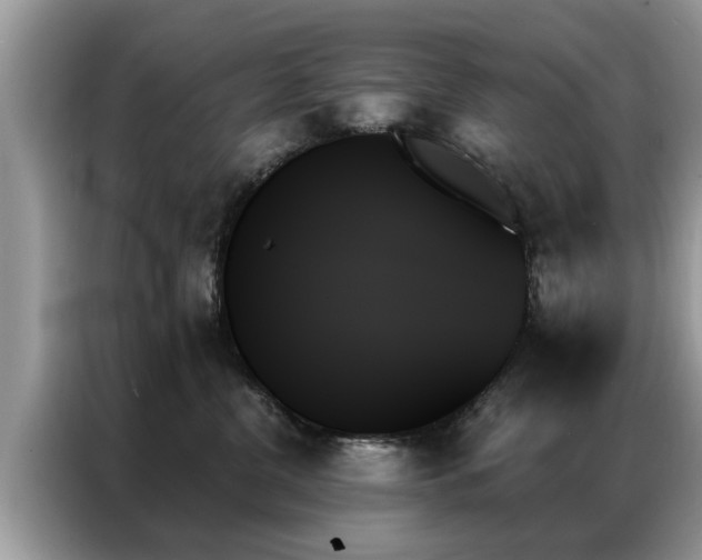 X0000087350380200704271424