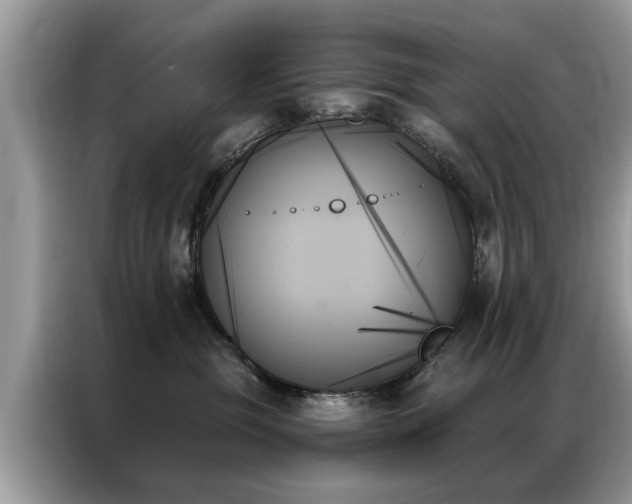X0000087350381200704271424