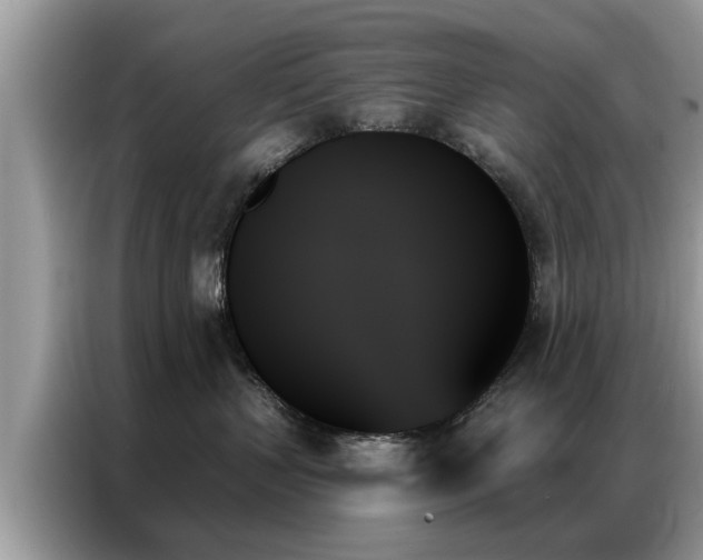 X0000087350383200704271424