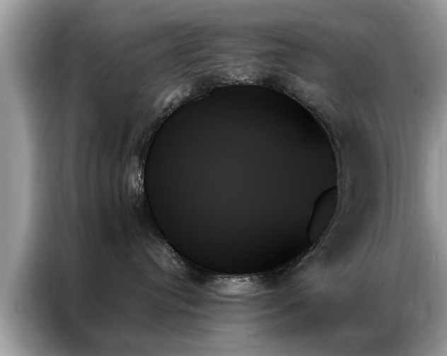 X0000087350384200704271424