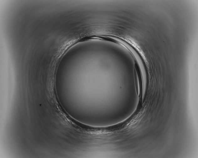 X0000087350385200704271423