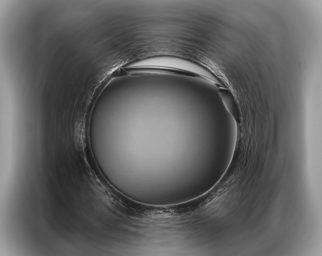 X0000087350386200704271423