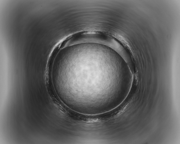 X0000087350388200704271423