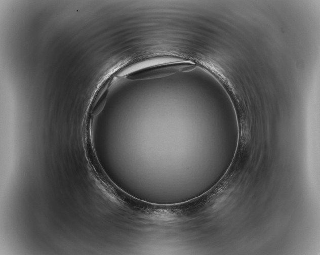 X0000087350390200704271423