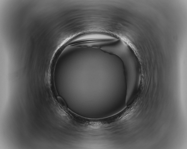 X0000087350391200704271423