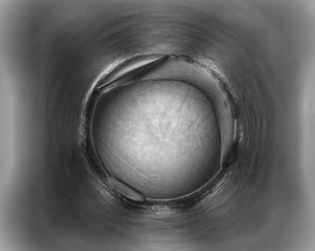 X0000087350392200704271423