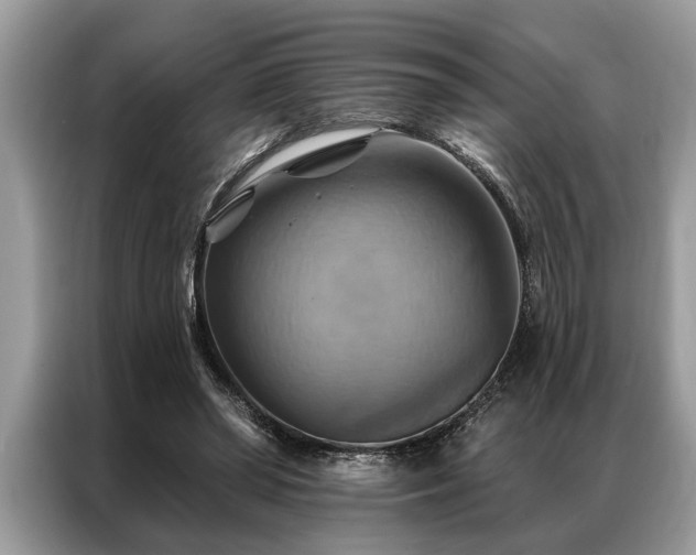 X0000087350398200704271423