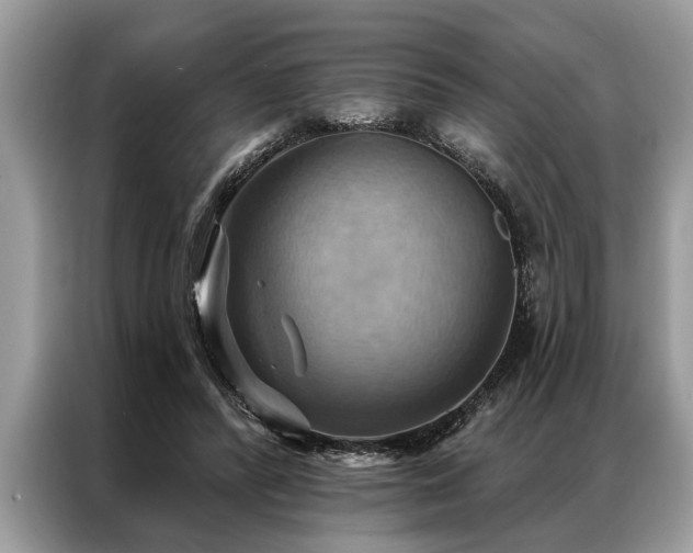 X0000087350400200704271423