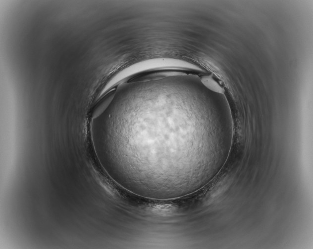 X0000087350401200704271423