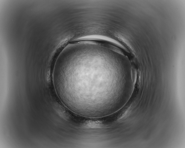 X0000087350403200704271423