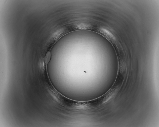 X0000087350405200704271423