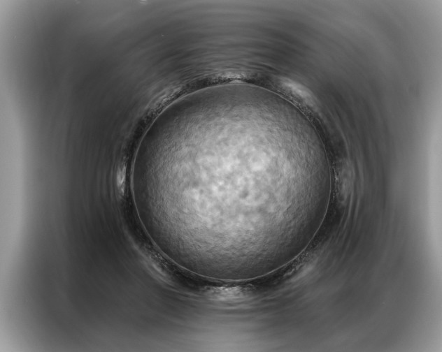 X0000087350406200704271423