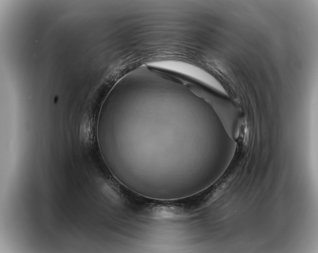 X0000087350408200704271423