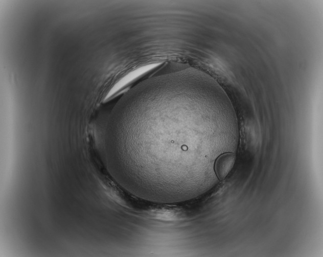 X0000087350412200704271423