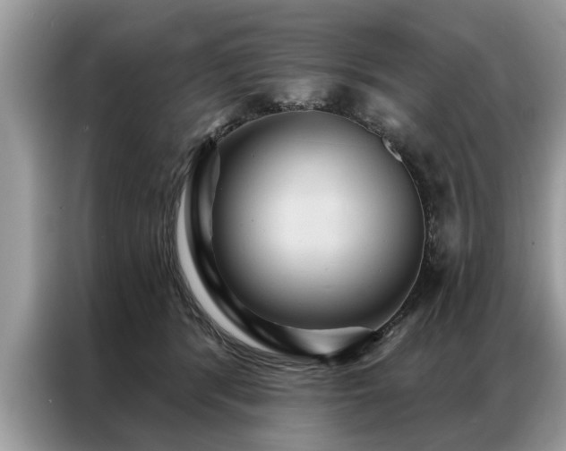 X0000087350416200704271423