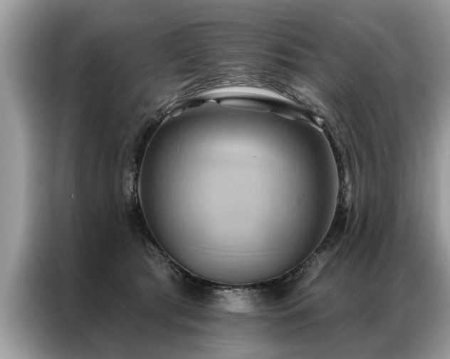 X0000087350417200704271423