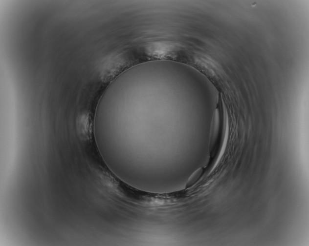 X0000087350420200704271423