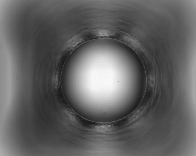 X0000087350422200704271423