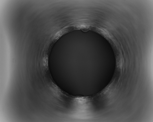 X0000087350425200704271423
