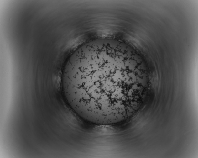 X0000087350427200704271423