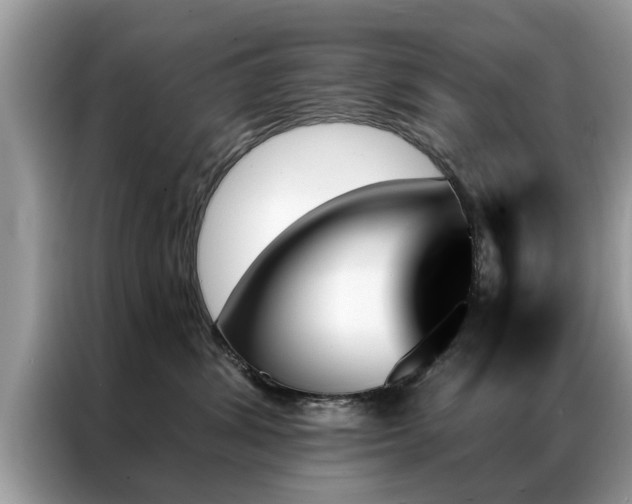 X0000087350428200704271423