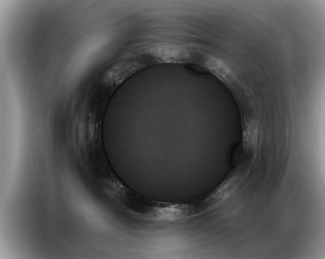 X0000087350430200704271423