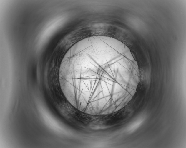 X0000087350431200704271423