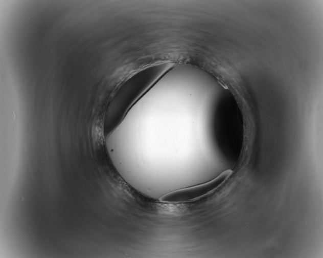 X0000087350432200704271423