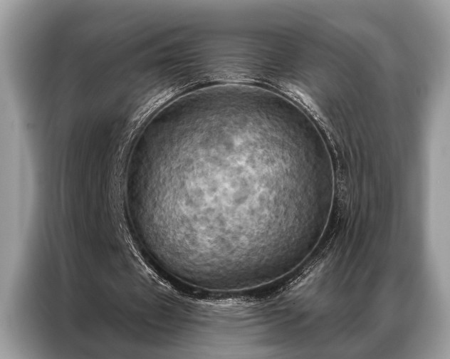 X0000087350433200704271422
