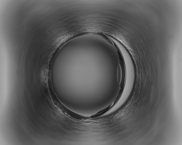 X0000087350434200704271422